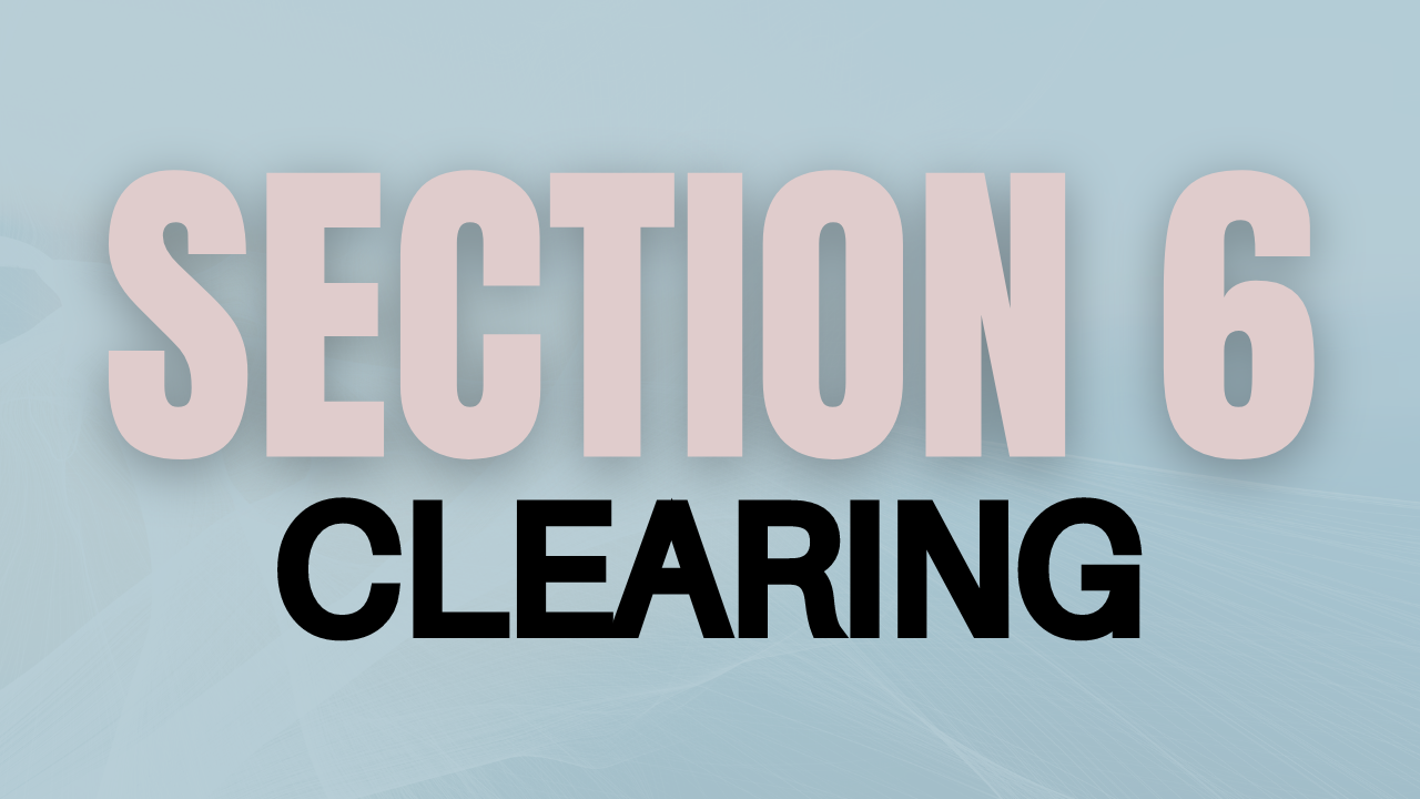 The Healing Experience Membership Section 6 Clearing